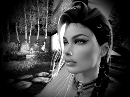 Web 583c765ae85cda351b000001