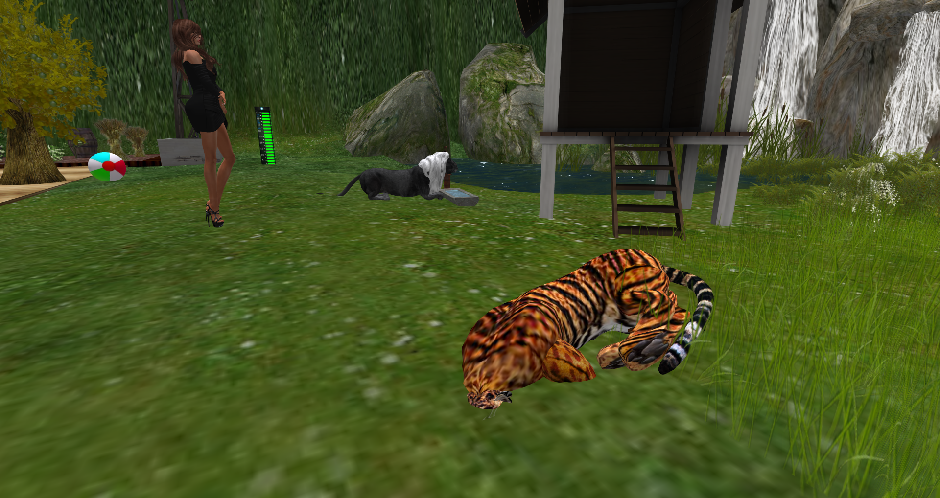 Original 556bdbb7f8a1ec5f38000001