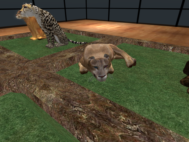 Original 5579ddeca73e212305000001