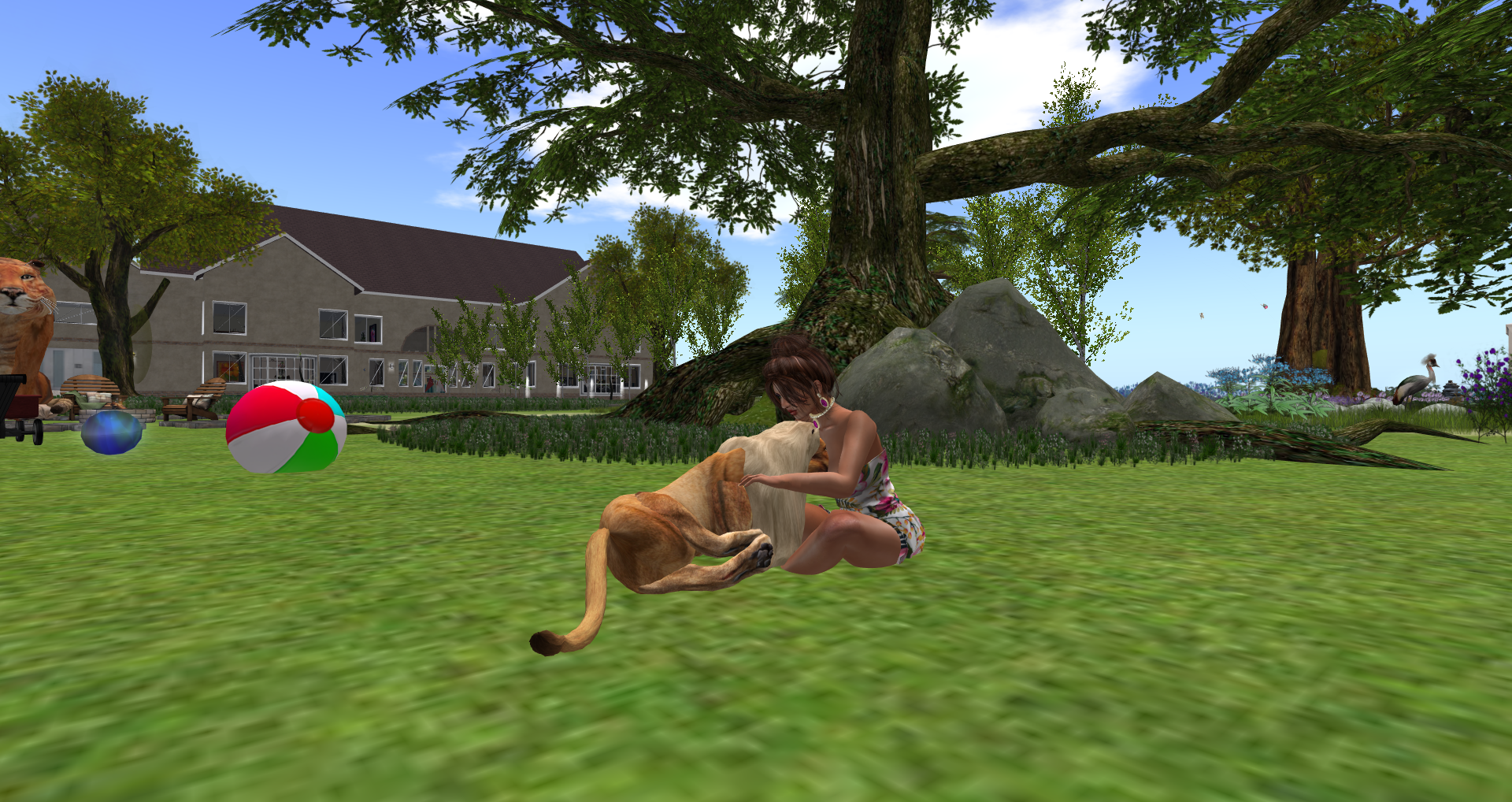 Original 55855704f8a1ec5d12000001