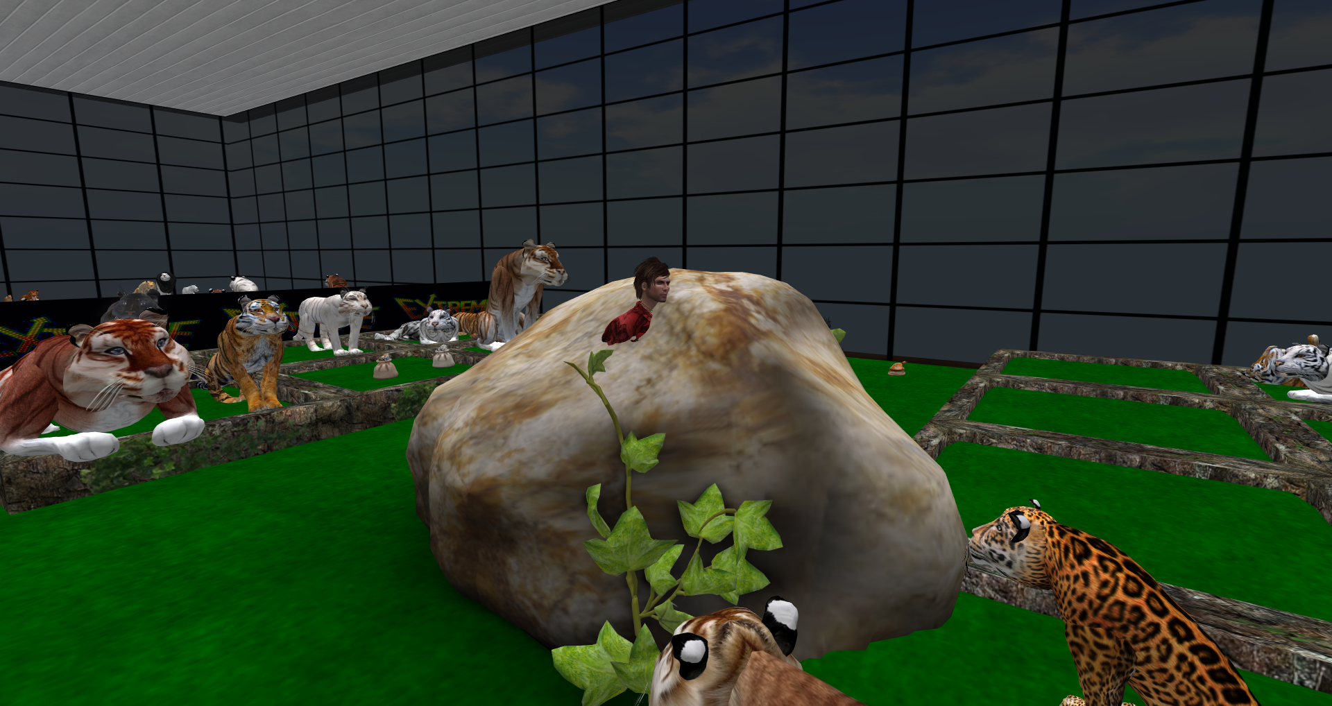 Original 5586500a8da5725d99000001