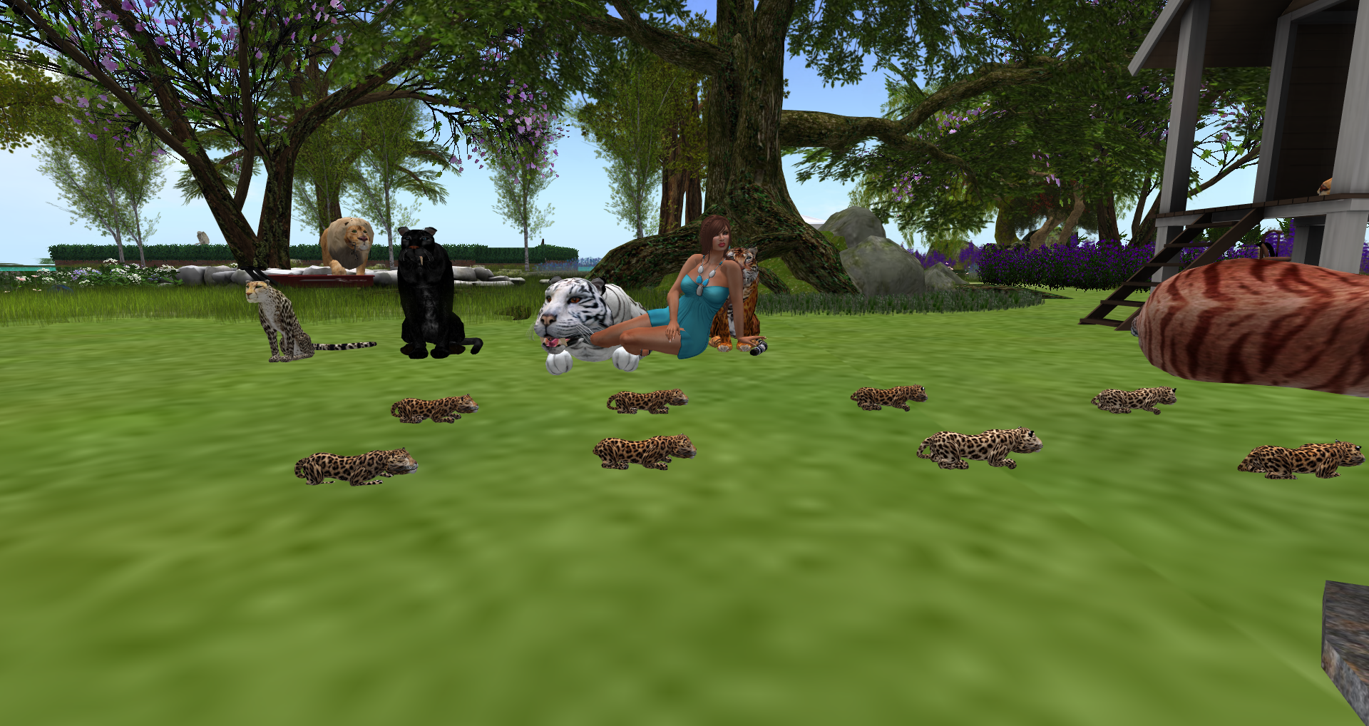 Original 559725fff8a1ec6f8b000001