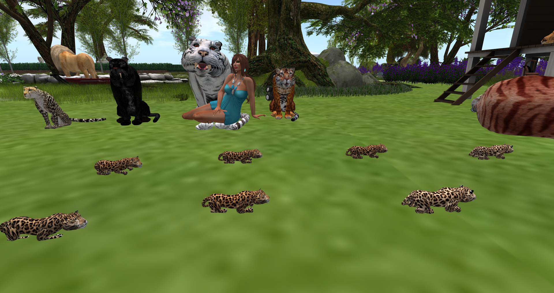 Original 559727018da5721495000001