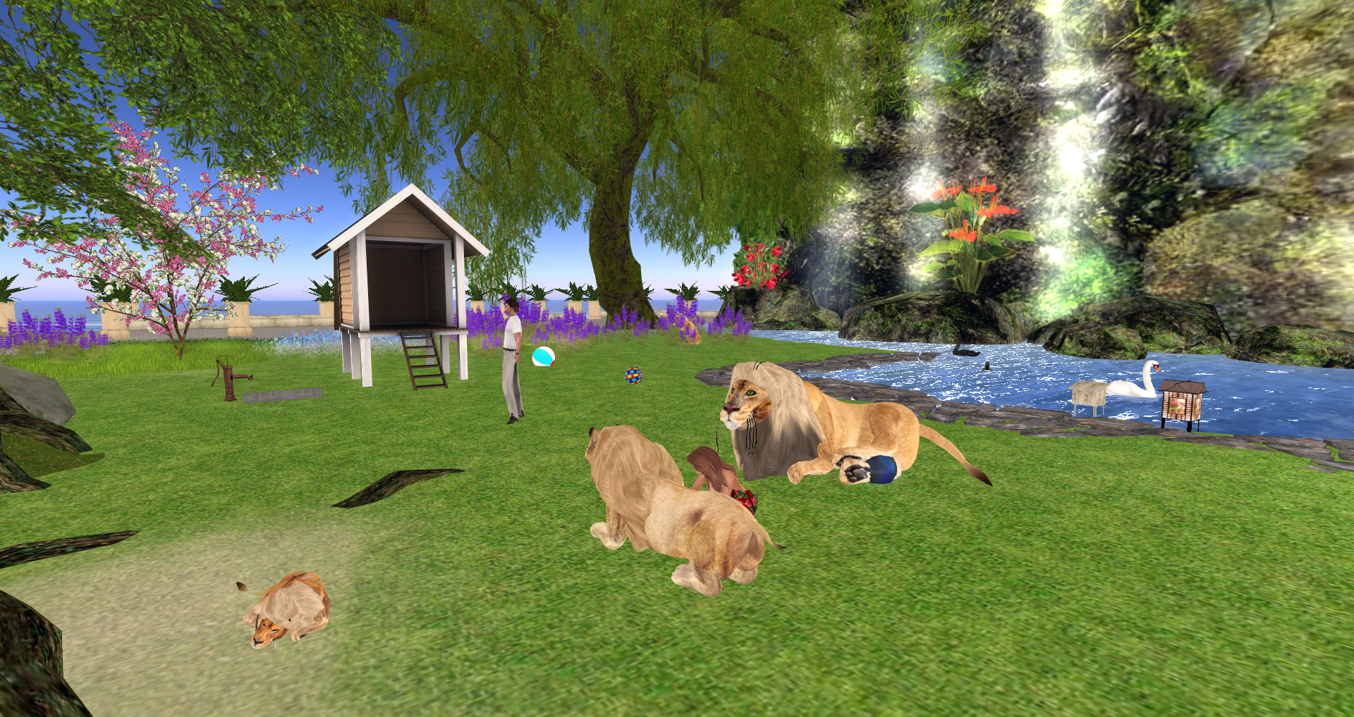 Original 559f34c38da57247e9000001