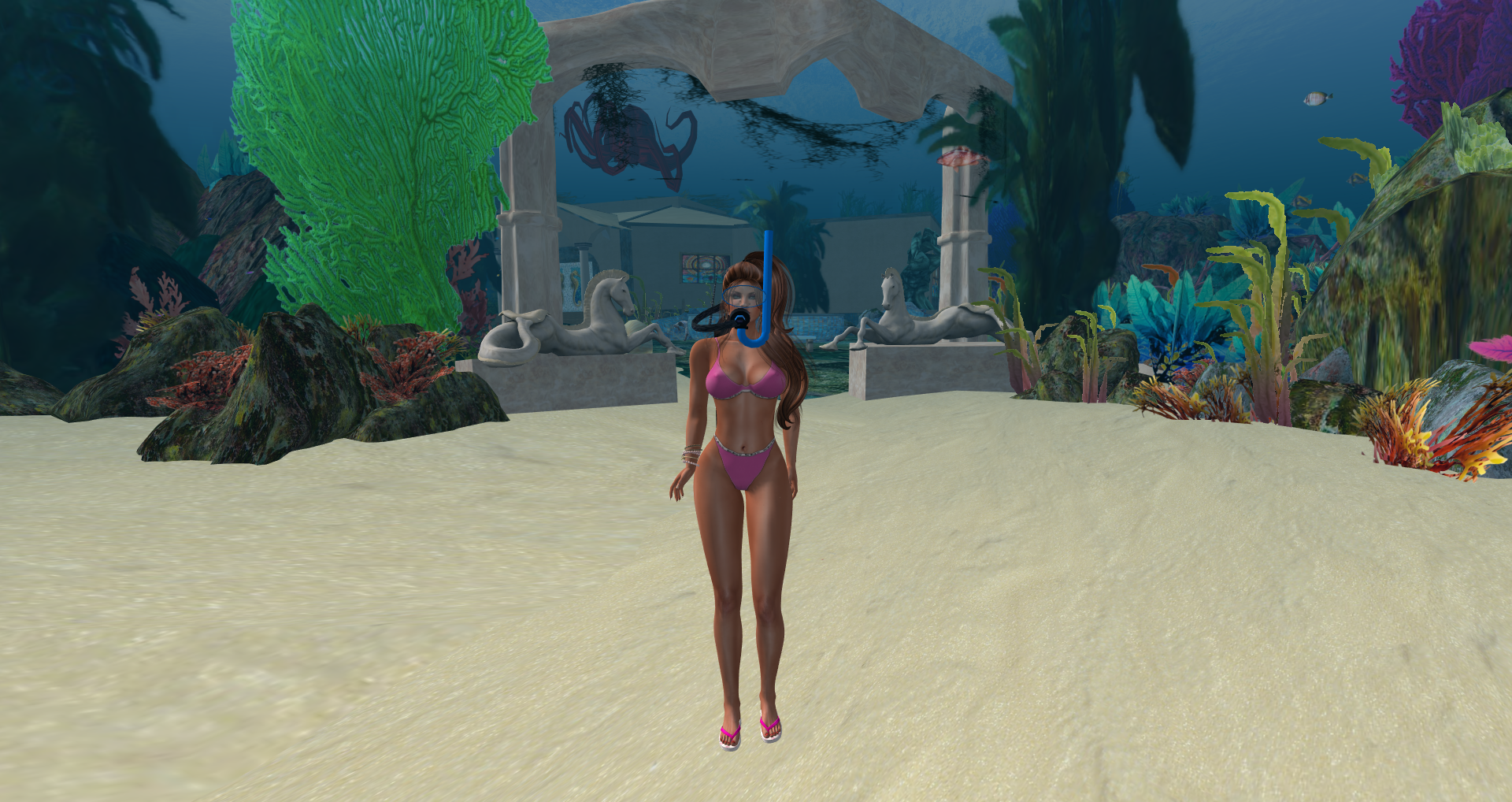 Original 55a87f2df8a1ec23ff000001