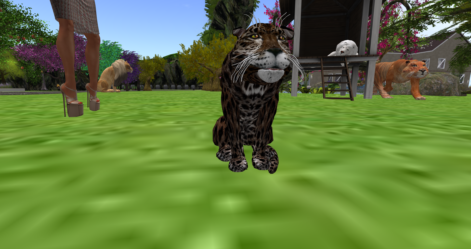 Original 55ac7e37f8a1ec2399000001