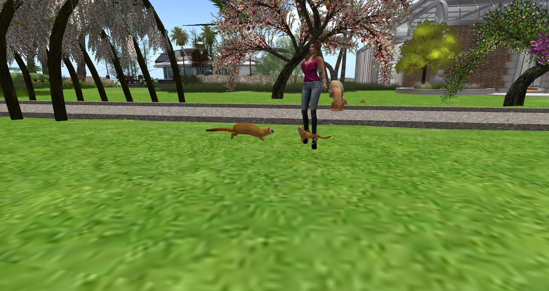 Original 55ad12ddf8a1ec3e67000001