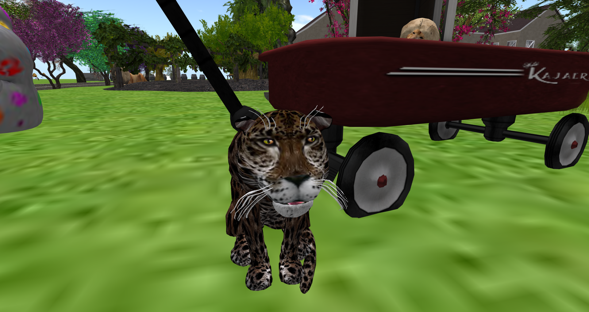 Original 55ae2522128cc911b7000001