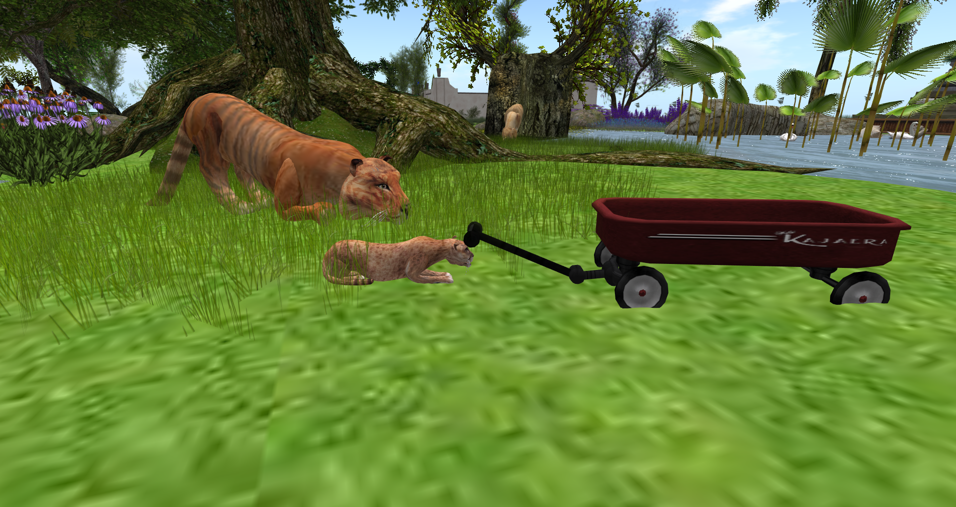 Original 55ae7662a73e215f39000001