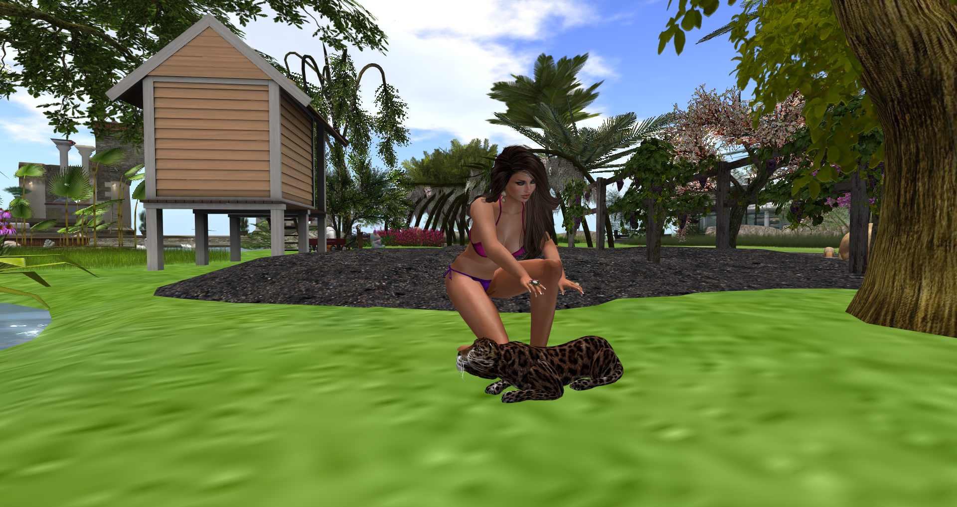 Original 55af0baf8da572603b000001