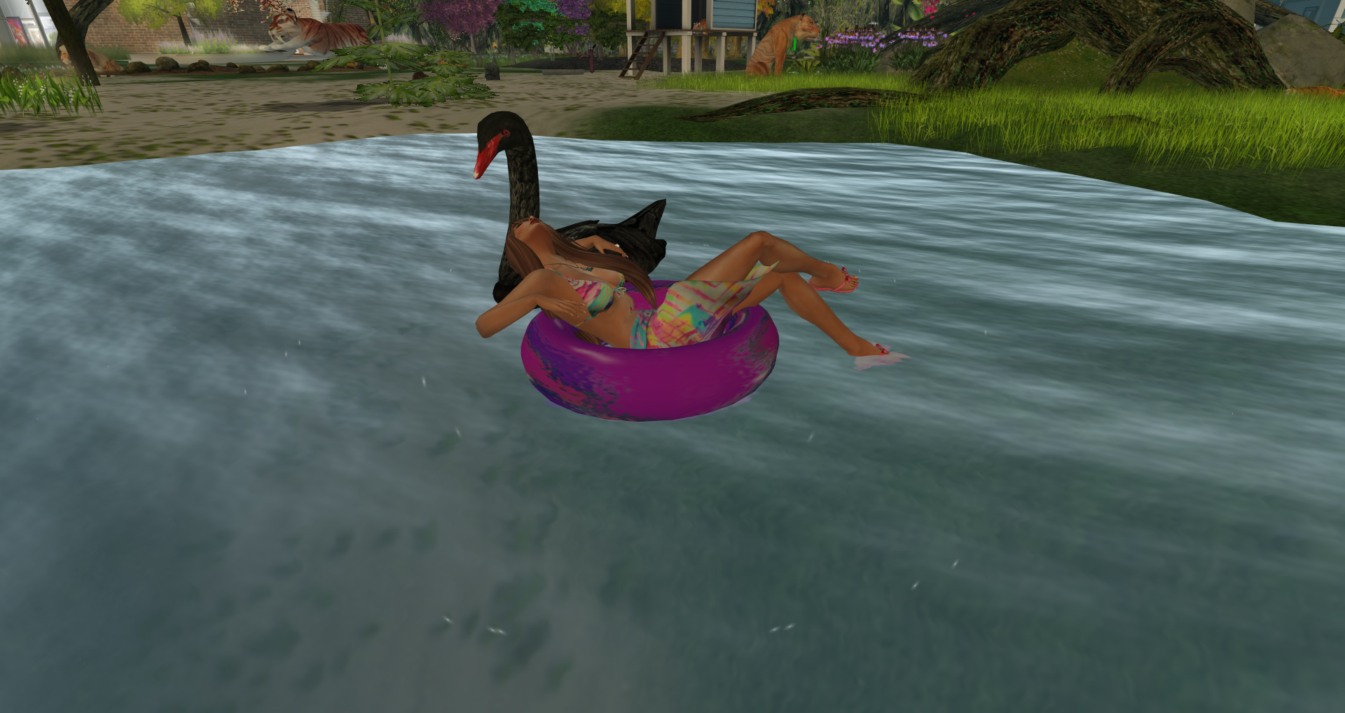 Original 55b39b958da5720ac0000001