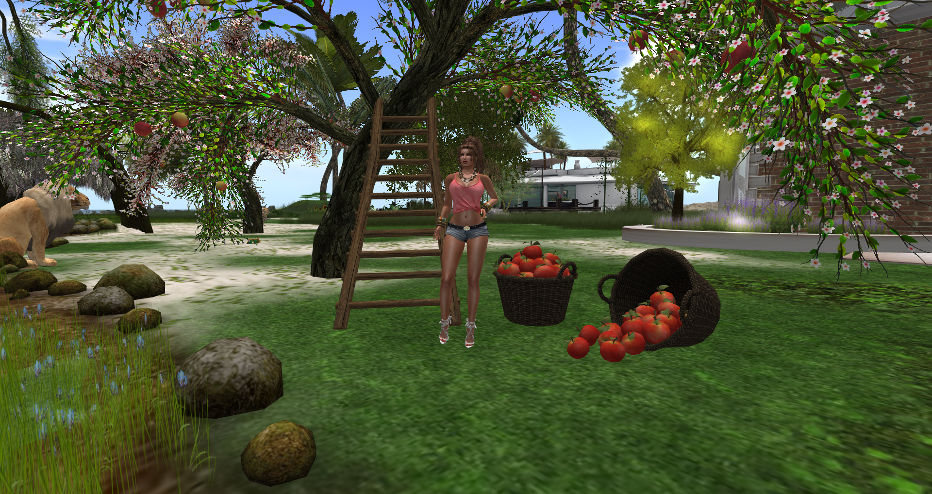 Original 55b435f6a73e2102af000001