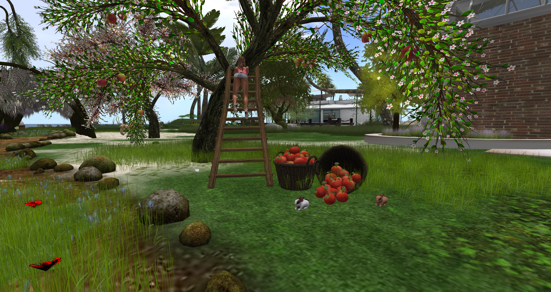 Original 55b4370fa73e210bb1000001