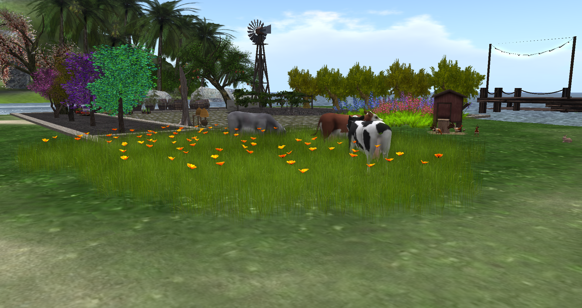 Original 55bc6167a73e216ec7000001