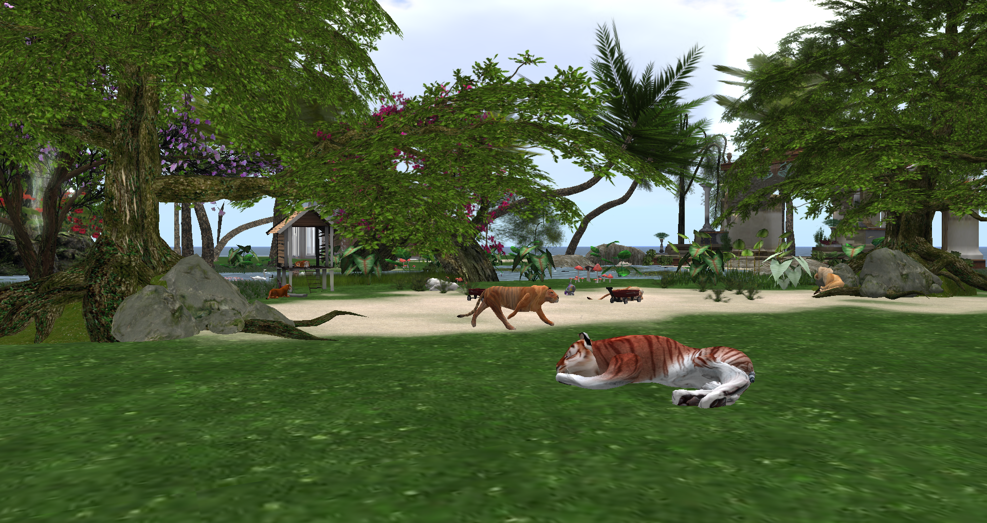 Original 55bc6217a73e21716a000001