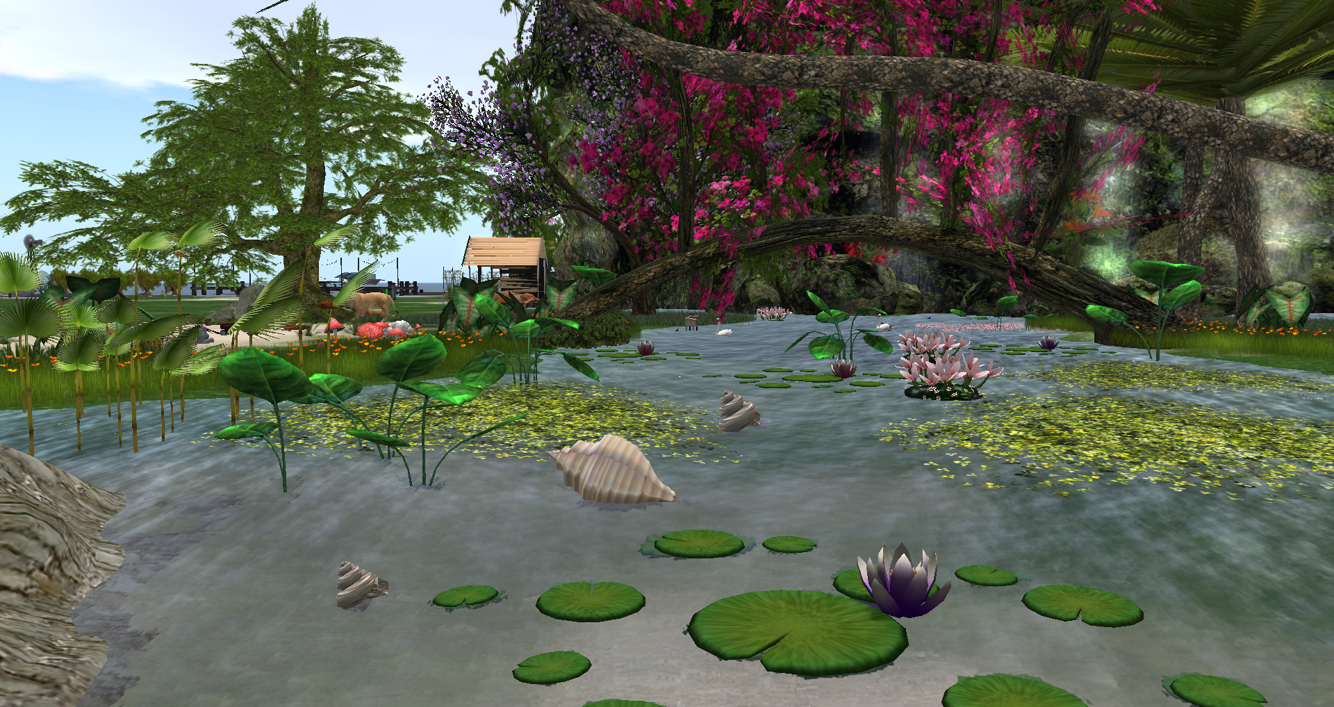 Original 55bc62788da57251e3000001