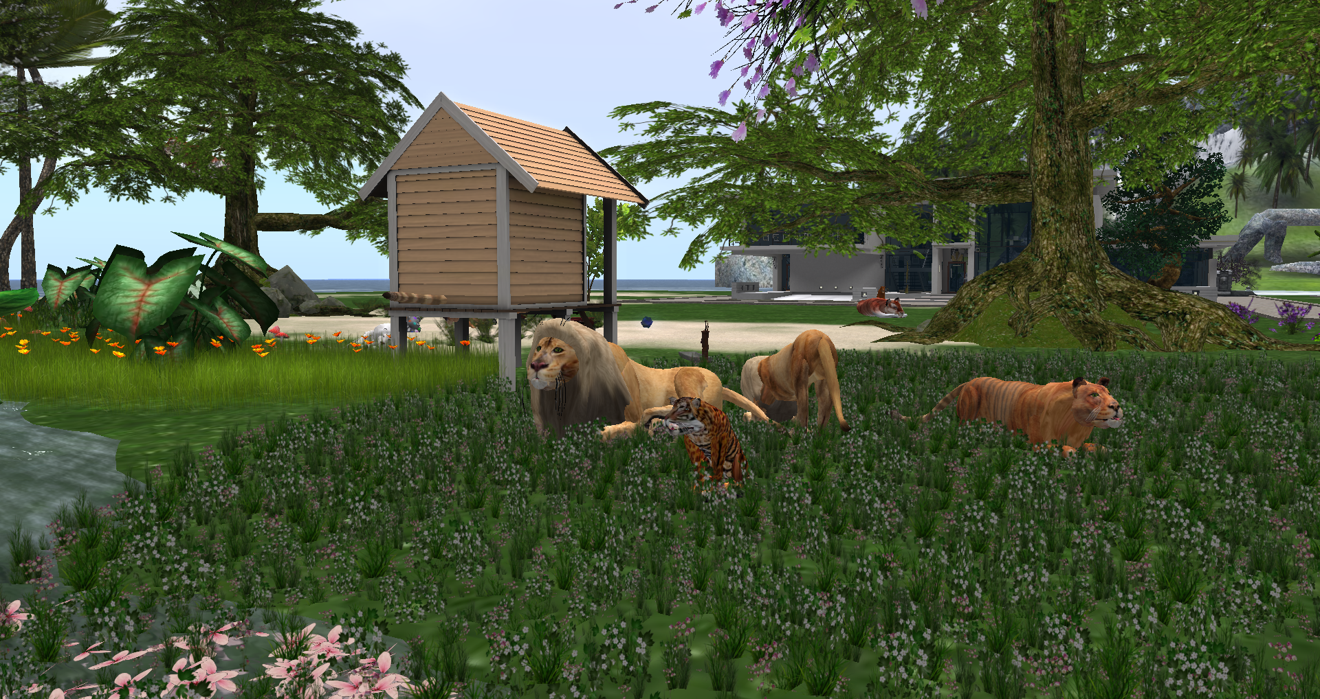 Original 55bc628ca73e2173dc000001