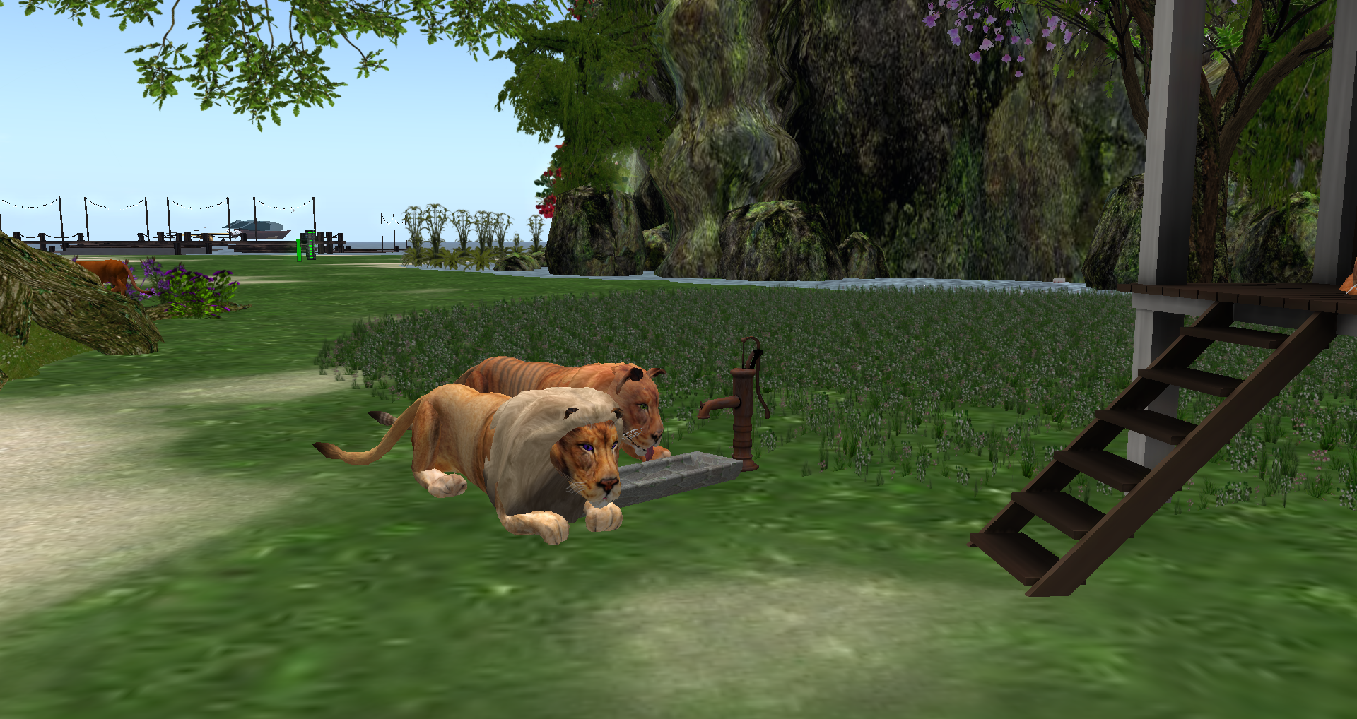 Original 55bc62d2128cc91059000001