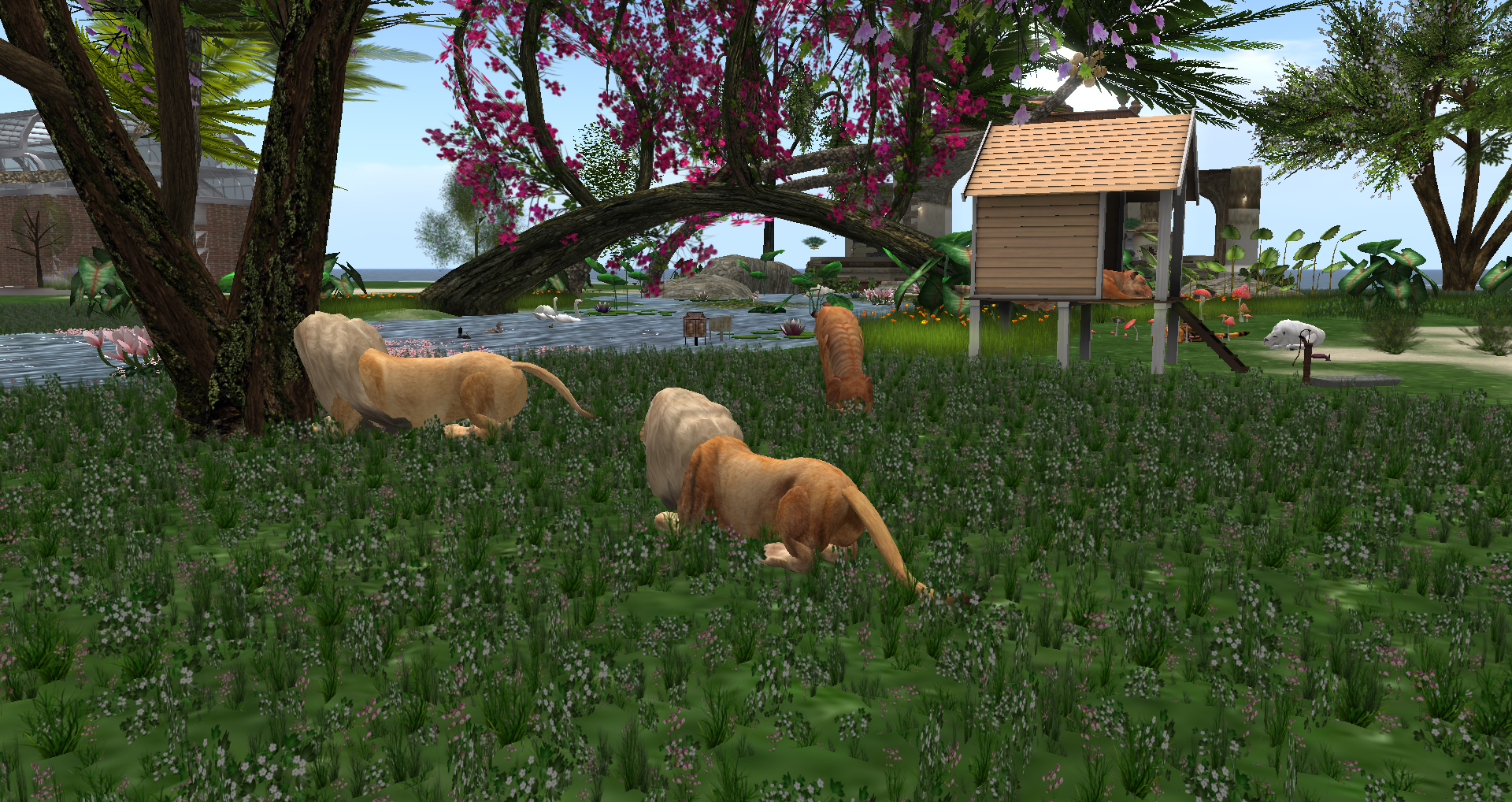 Original 55bc6369a73e217aa4000001