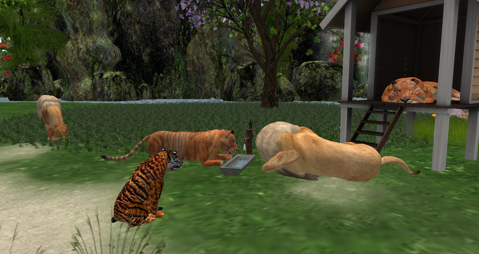 Original 55bc63a3a73e217bff000001