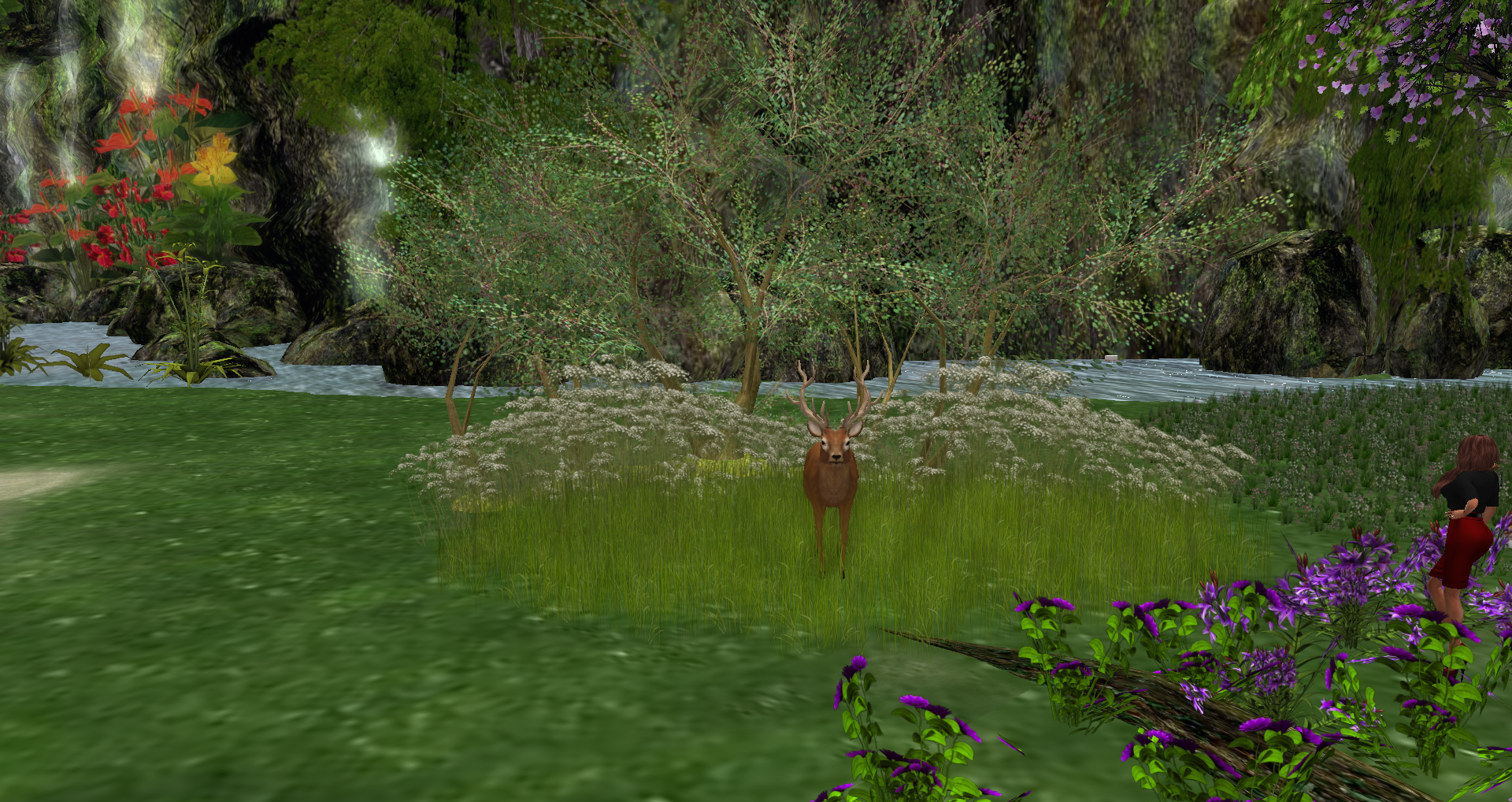 Original 55c263be128cc92d66000001