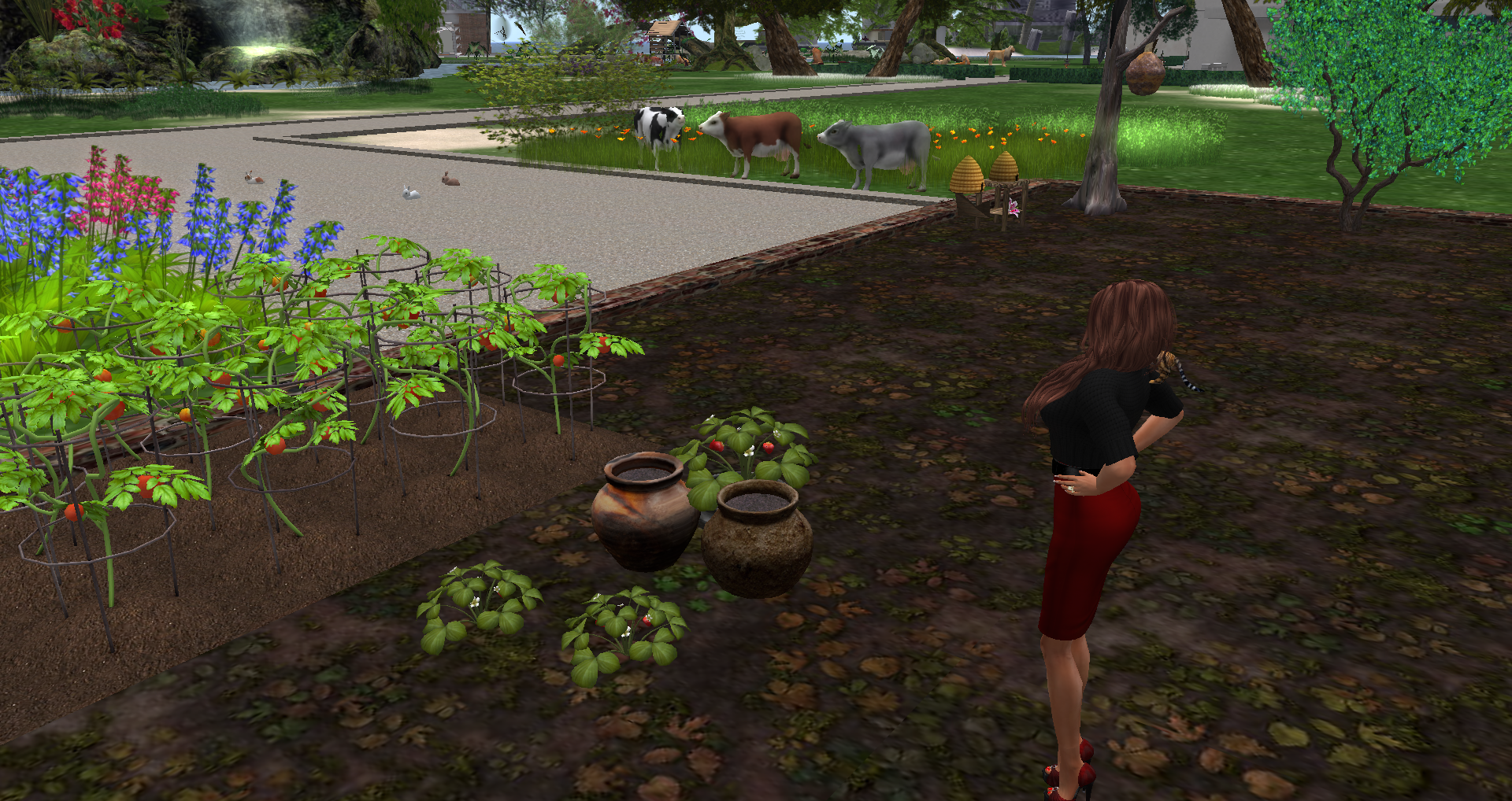 Original 55c26d61f8a1ec4136000001