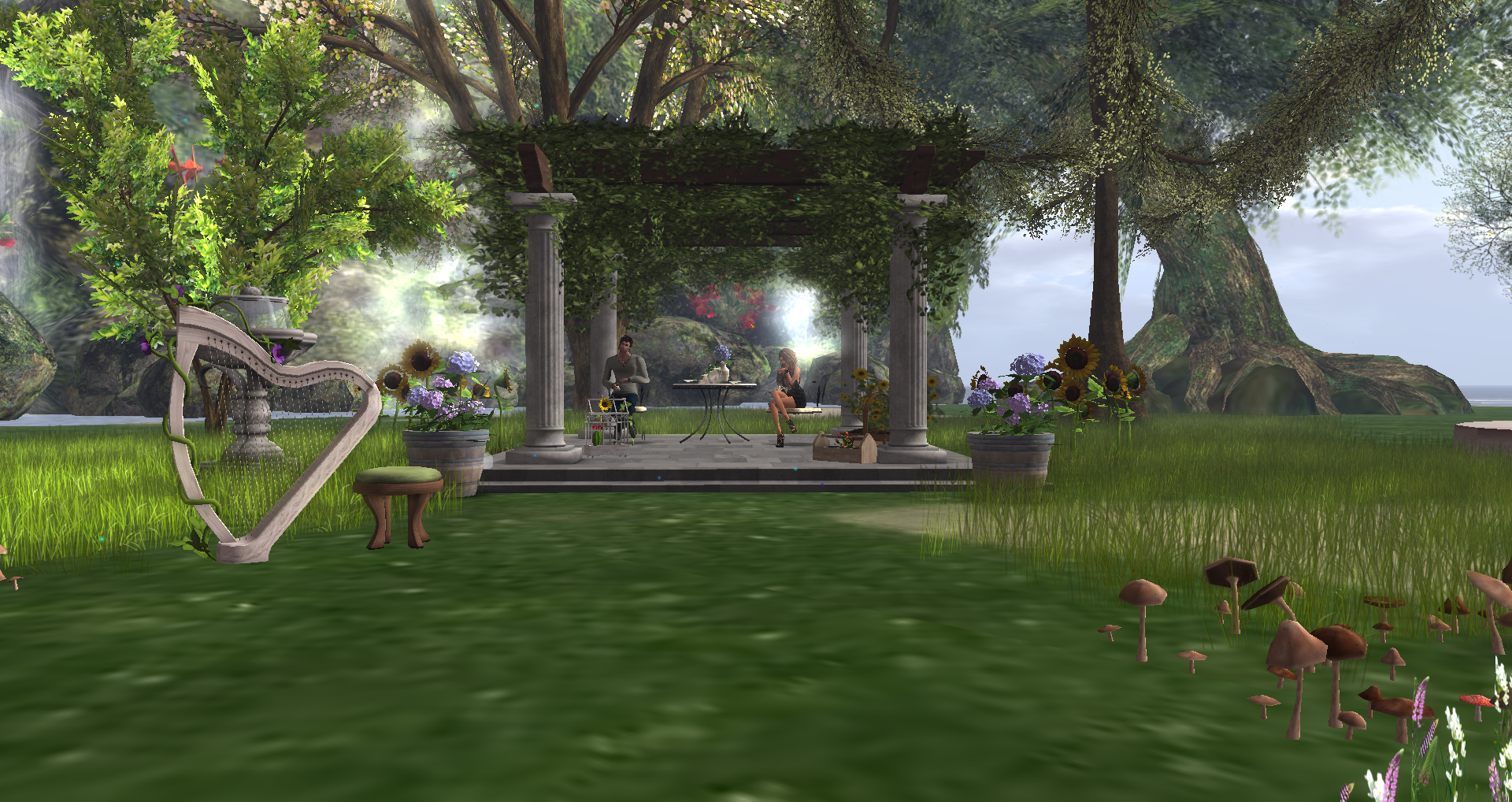 Original 55c36b3df8a1ec68e6000001