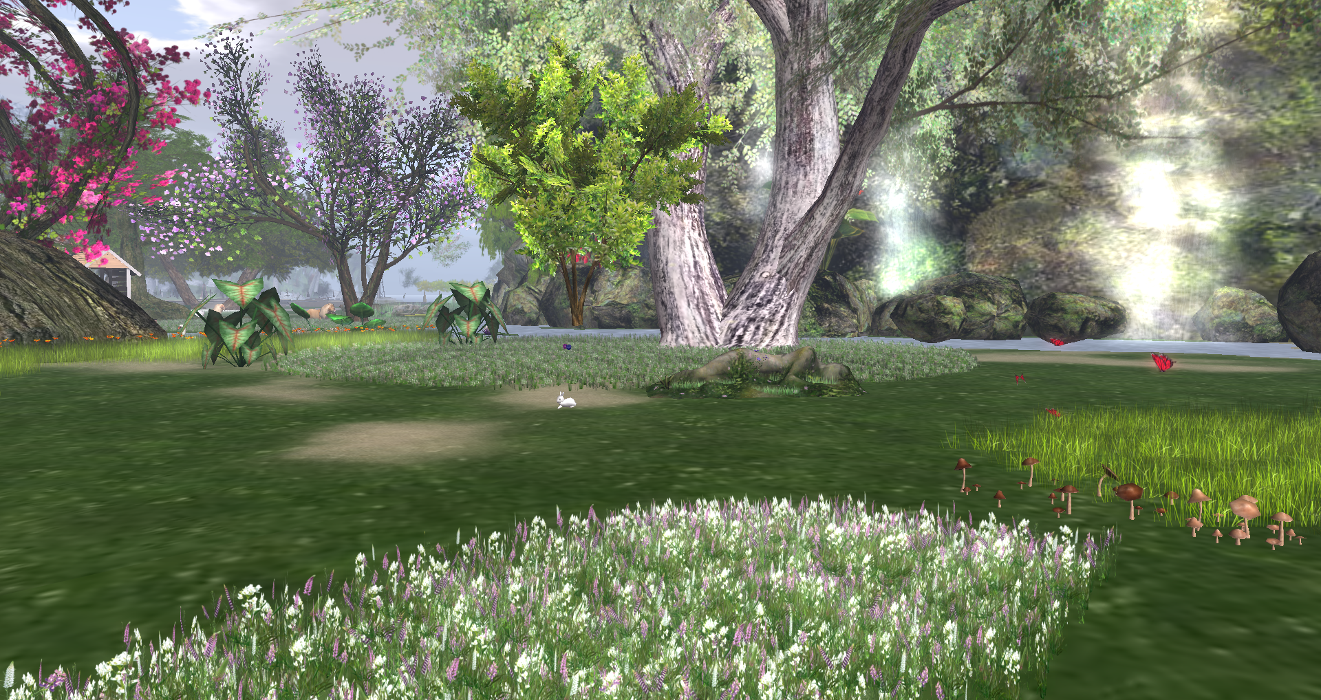 Original 55c36db3128cc95190000001