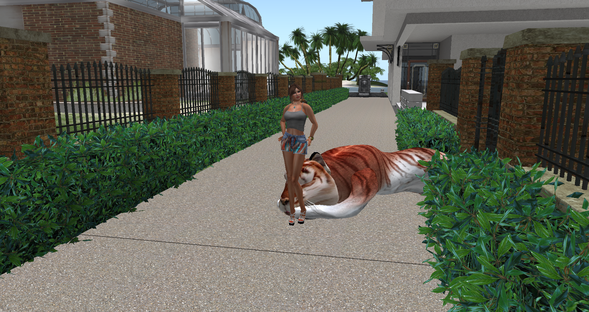 Original 55cb93c8f8a1ec7565000001