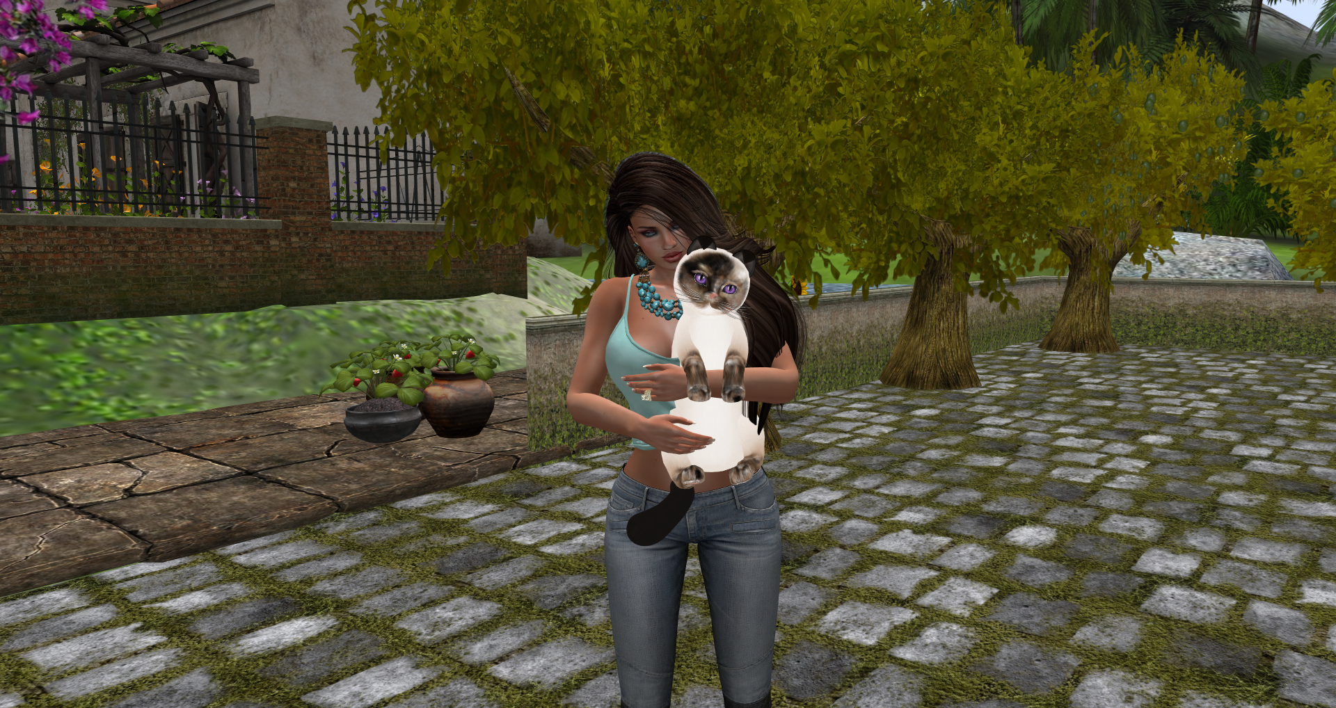 Original 55ce7f9c8da5726694000001