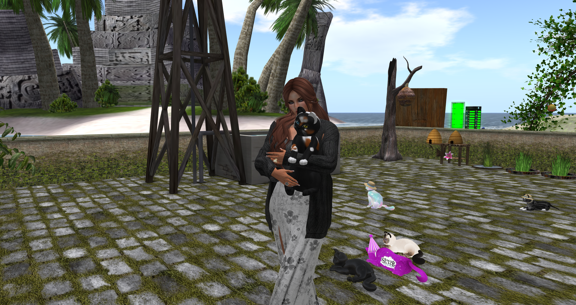 Original 55d0d8788da5725a33000001