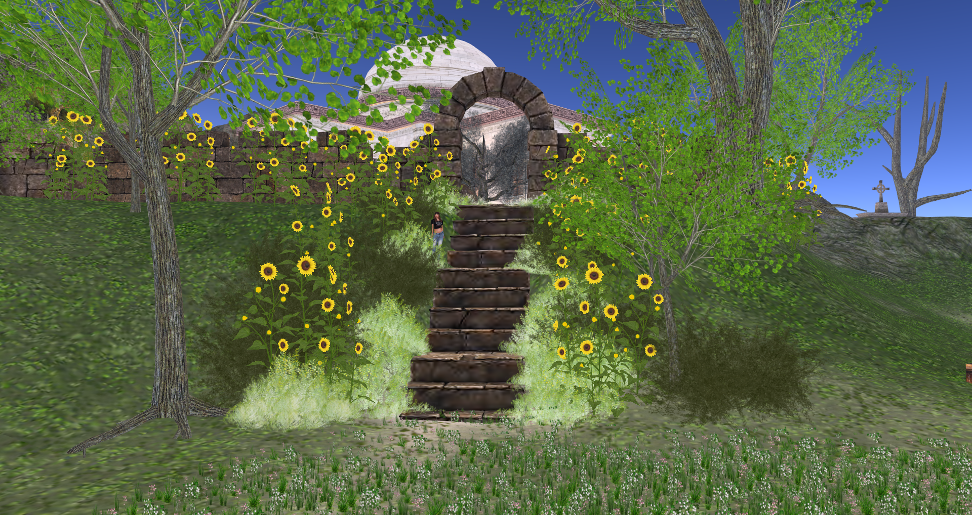 Original 55d1d8288da57271c5000001