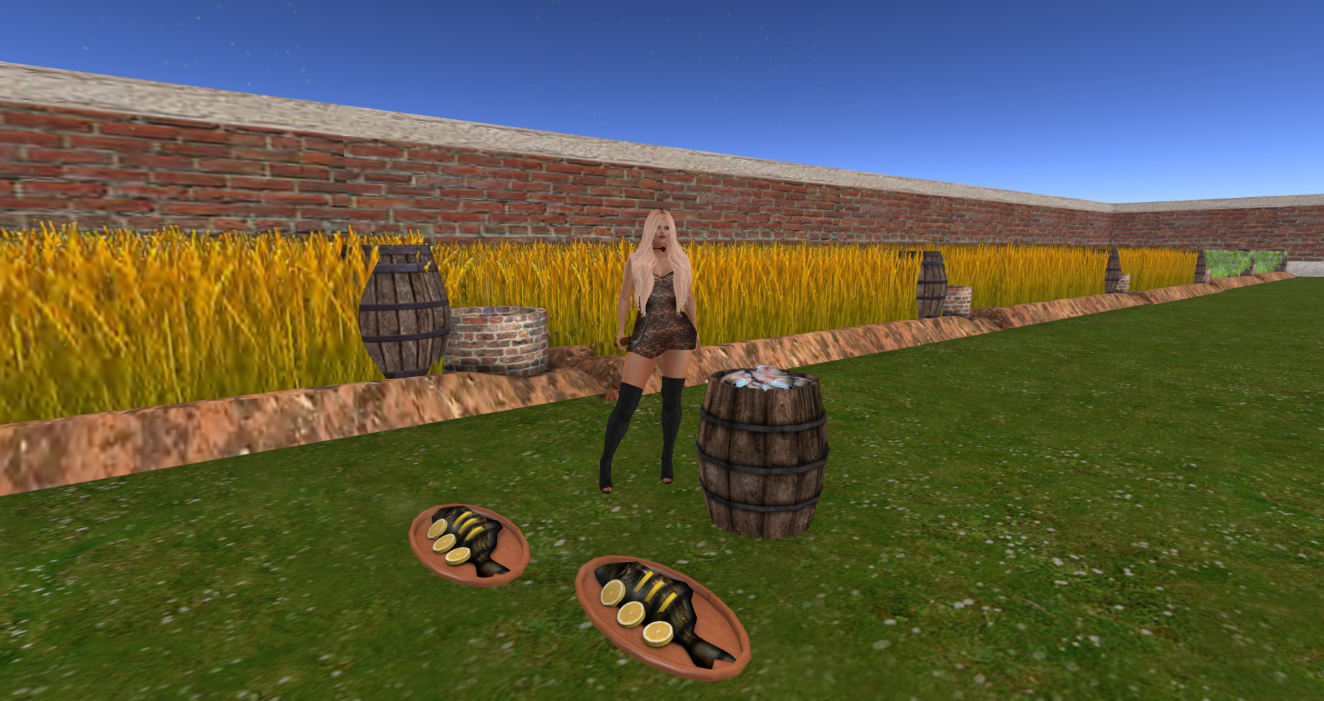 Original 58ca9bafb01540305e000001