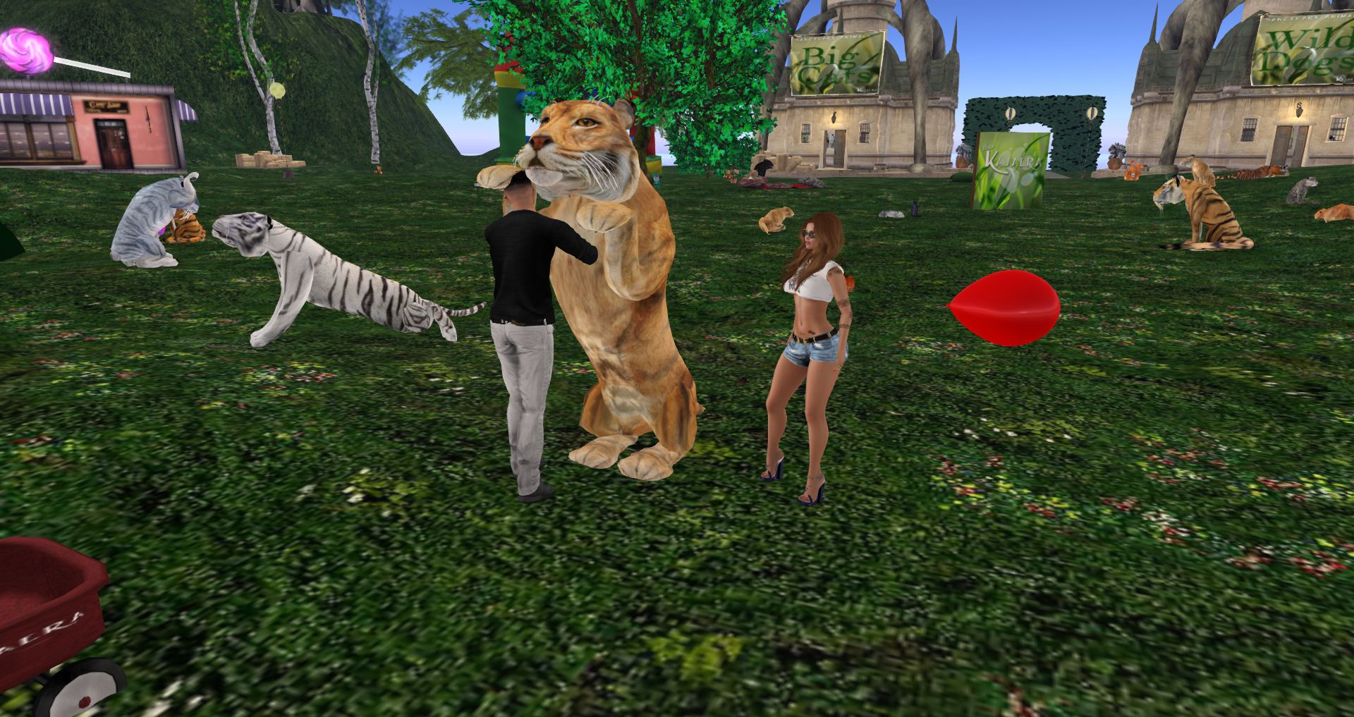 Original 58d2f81f73ed170164000001