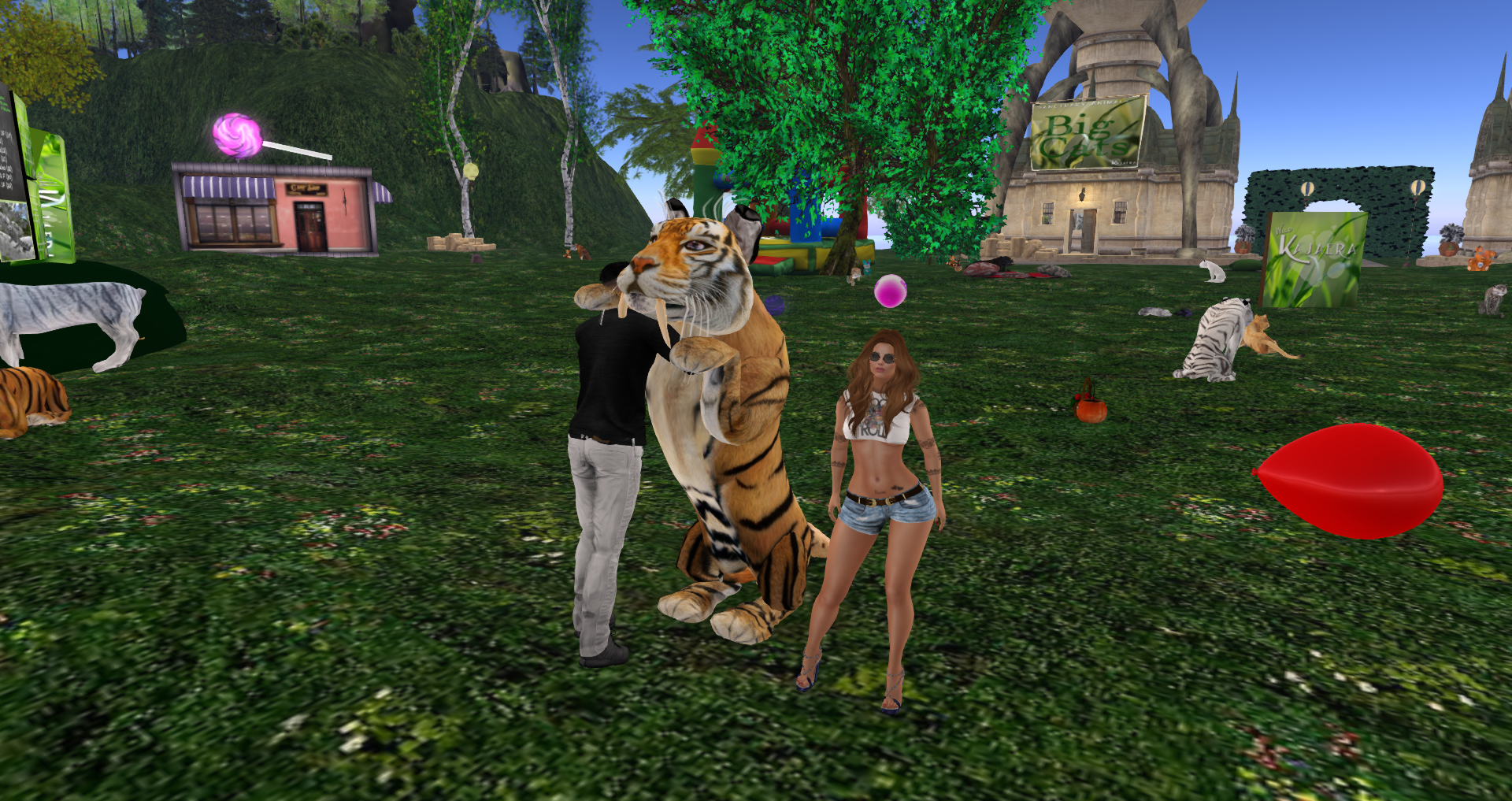 Original 58d2f87073ed170376000001