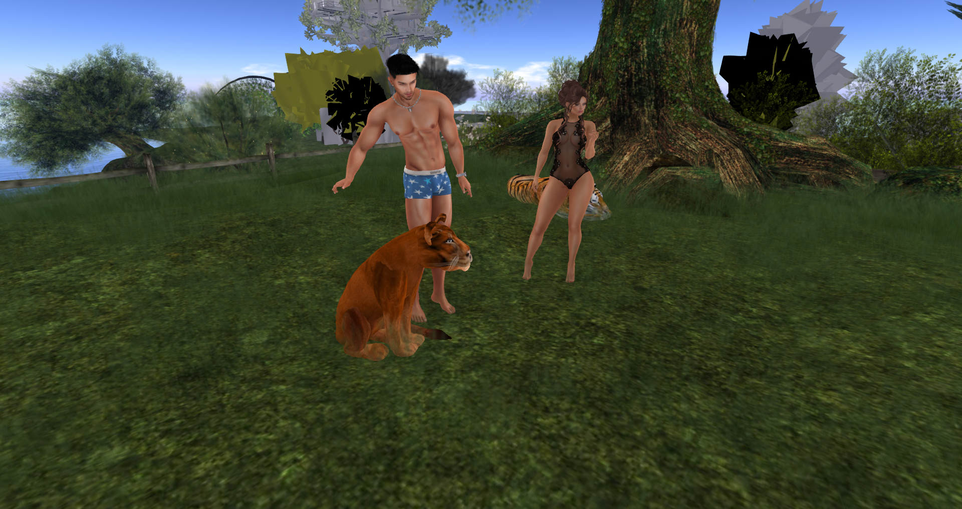 Original 58d6a76a73ed170532000001