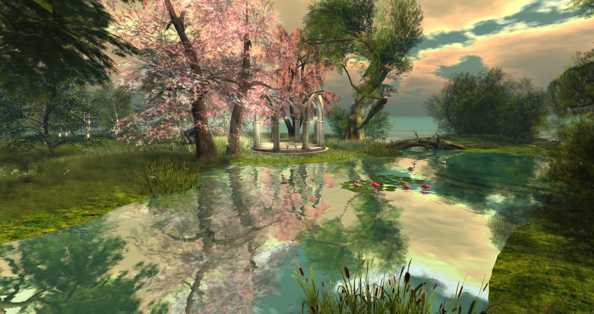 Original 58d988d6d9859c516e000001