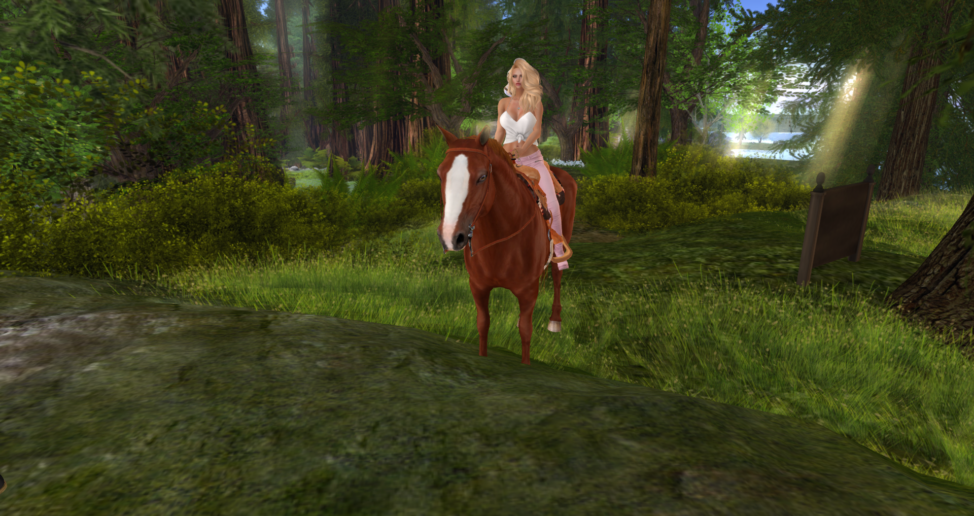 Original 5916908673ed1739ef000001