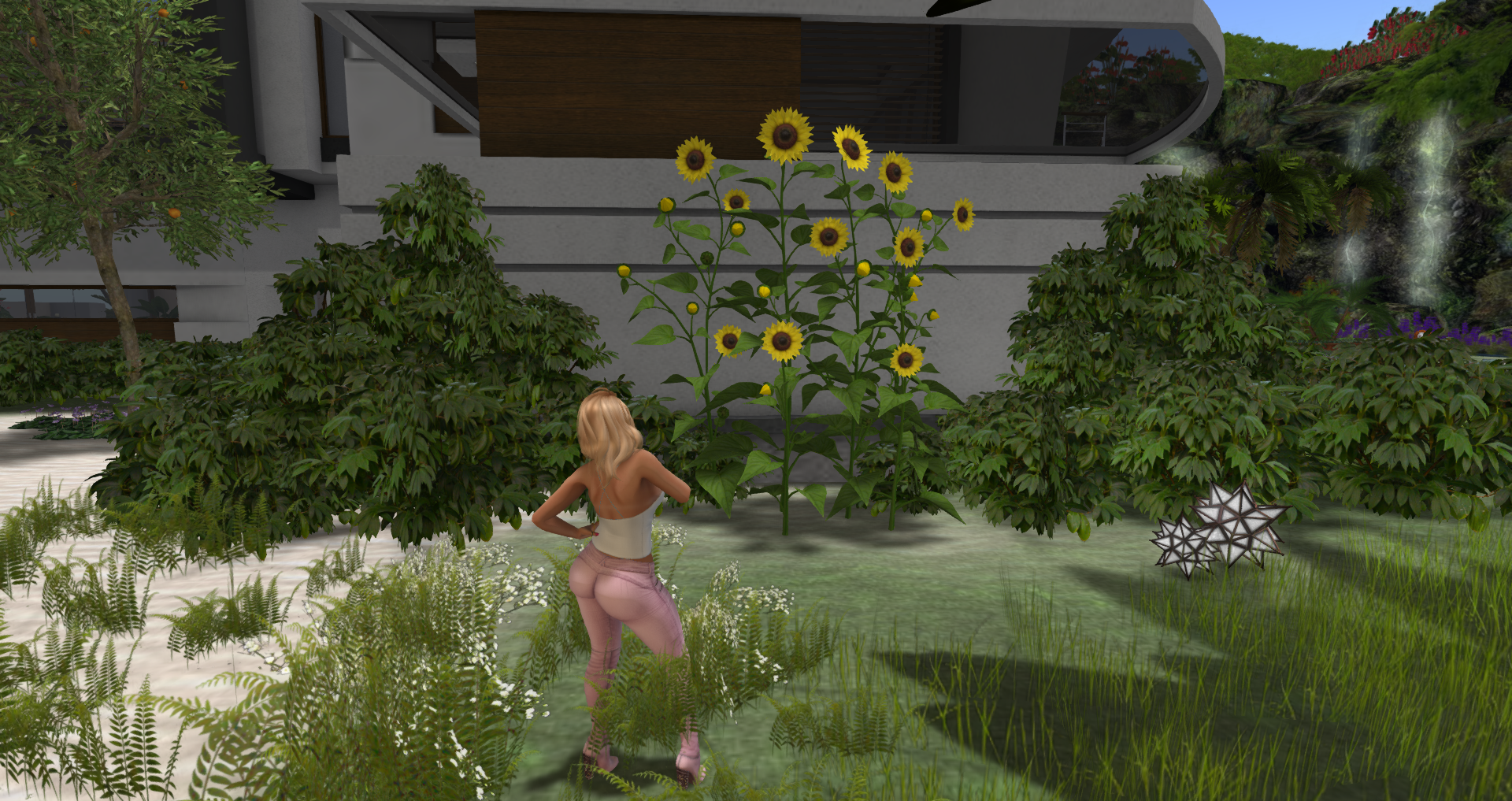 Original 591e6d74d9859c12b4000001