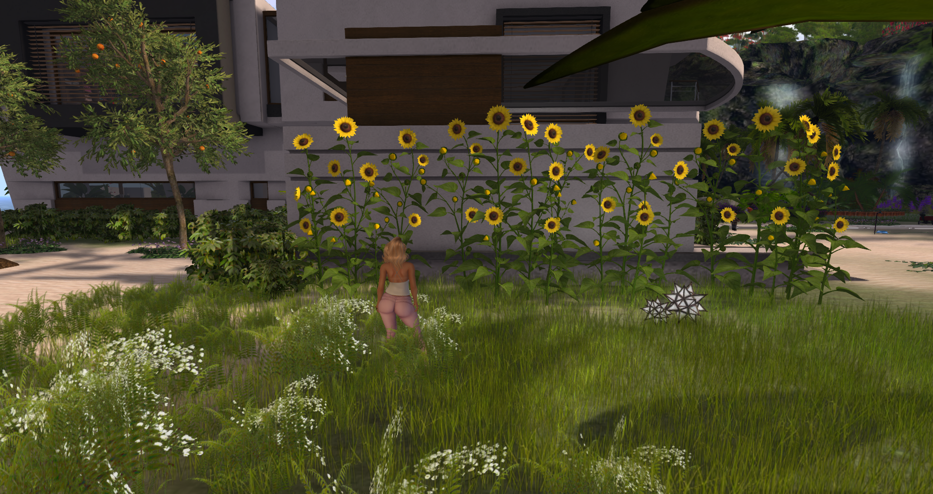 Original 591e6e6573ed1711db000001