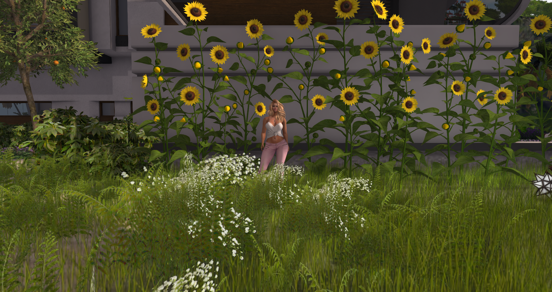 Original 591e6e9273ed171470000001