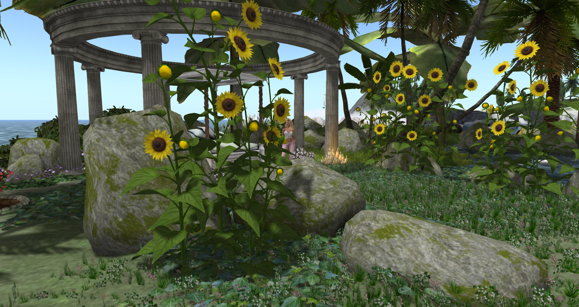 Original 591e7808289dd20f0c000001