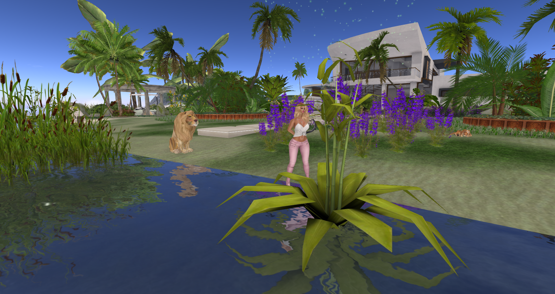 Original 591f246ad774f8501c000001