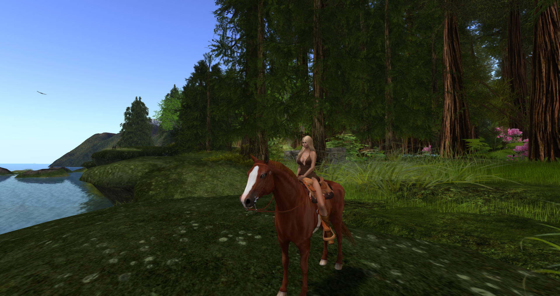 Original 593a690573ed1734ed000001