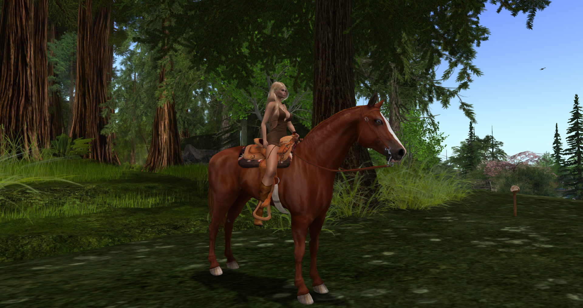 Original 593a692973ed17360e000001