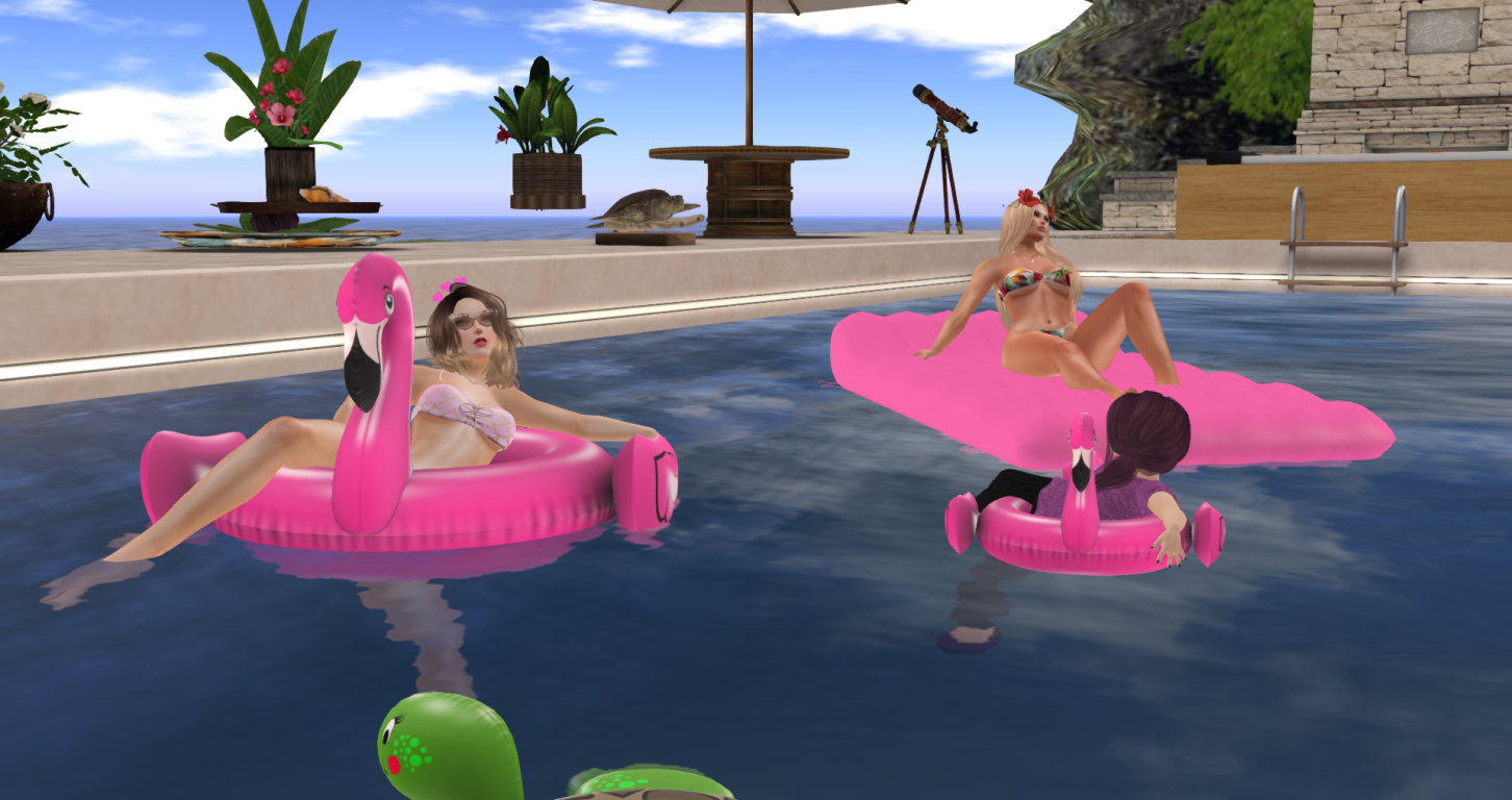 Original 594c81d873ed170d0c000001