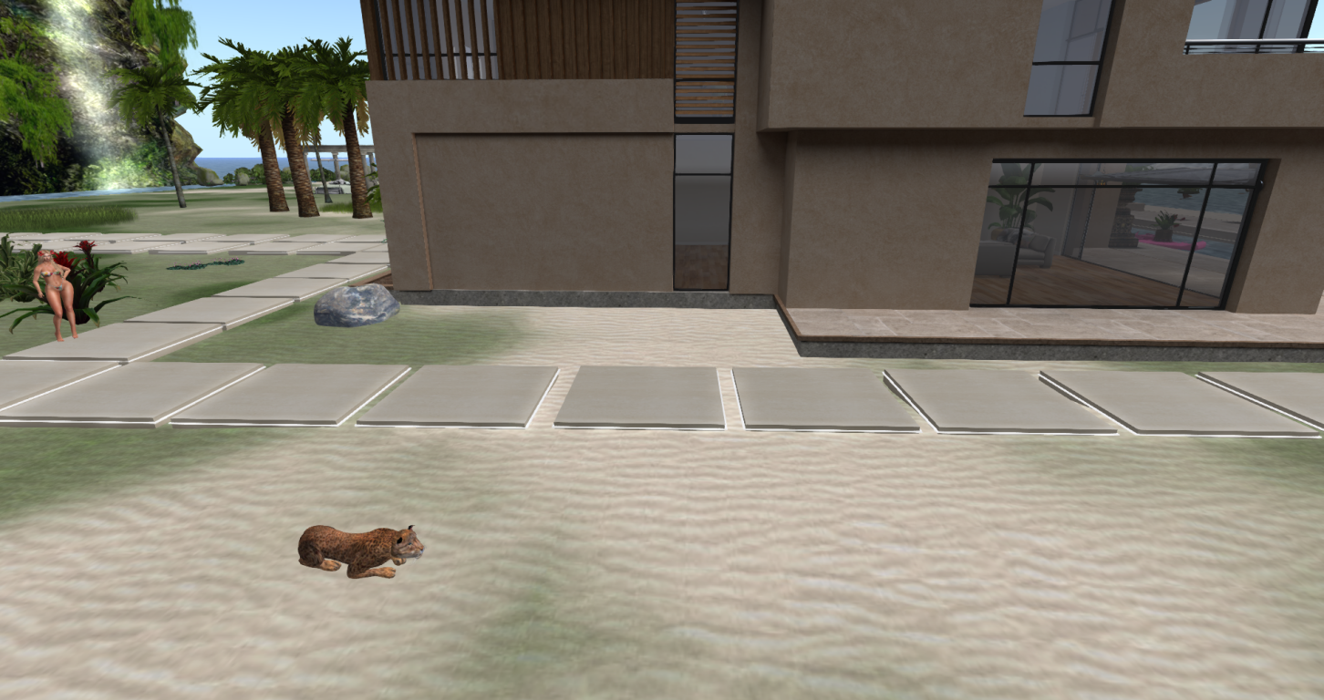 Original 594ce2a4d9859c79d7000001