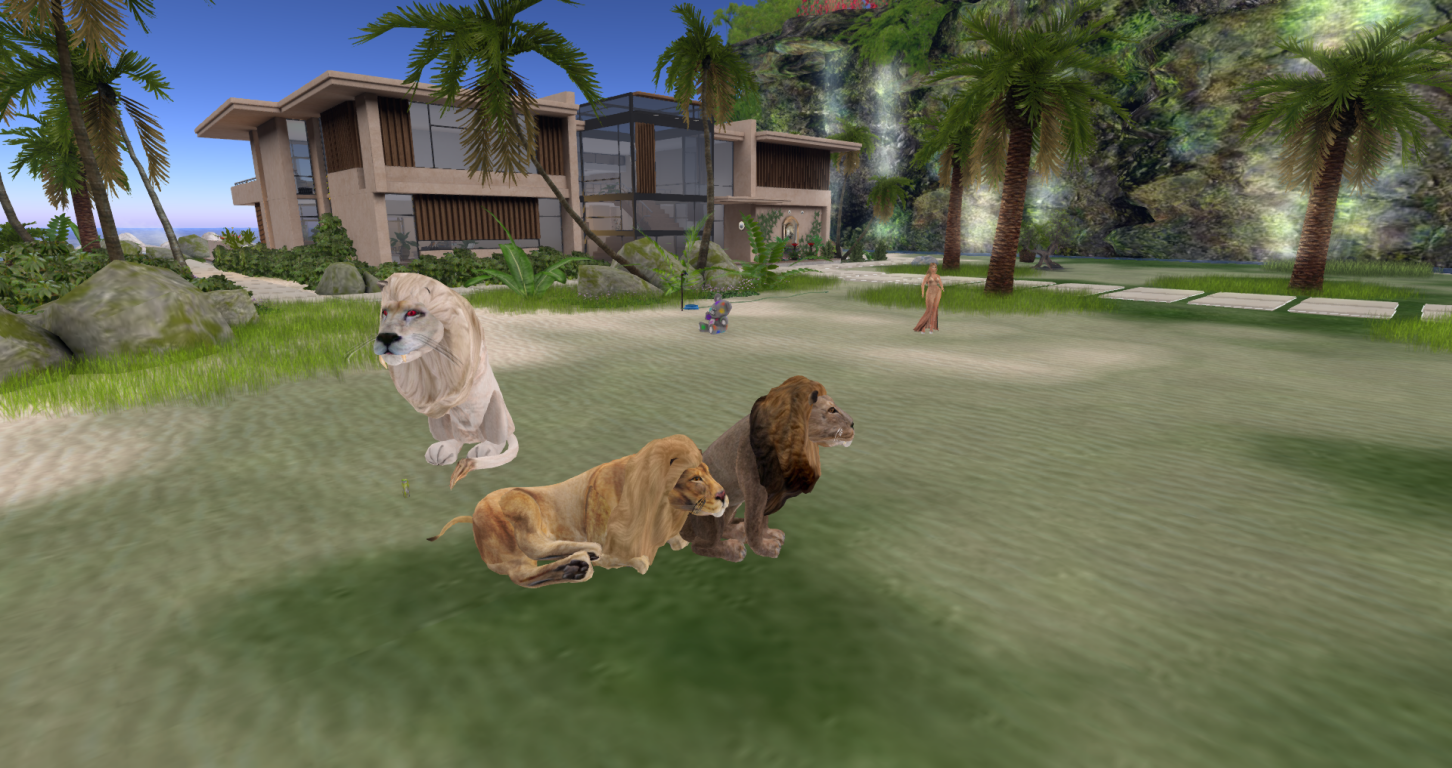 Original 594db319d9859c3ef2000001