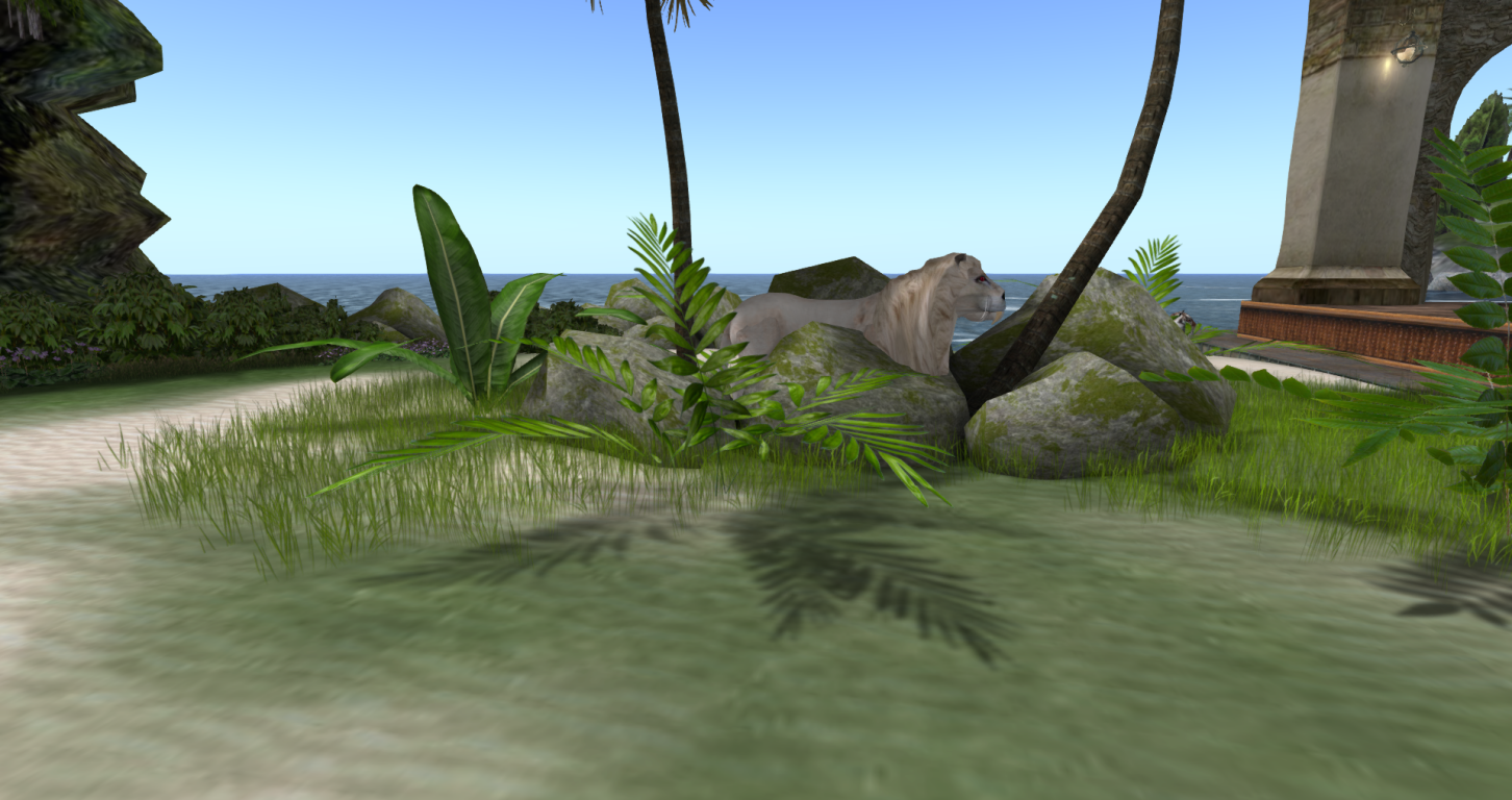 Original 594db3dcd9859c4393000001