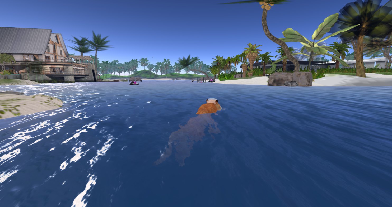 Original 5db4a4a673ed17451a000001